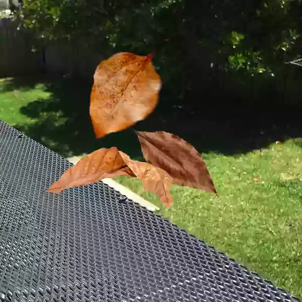 The Leaf Man