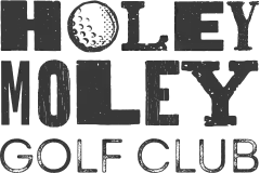 Holey Moley Golf Club Penrith