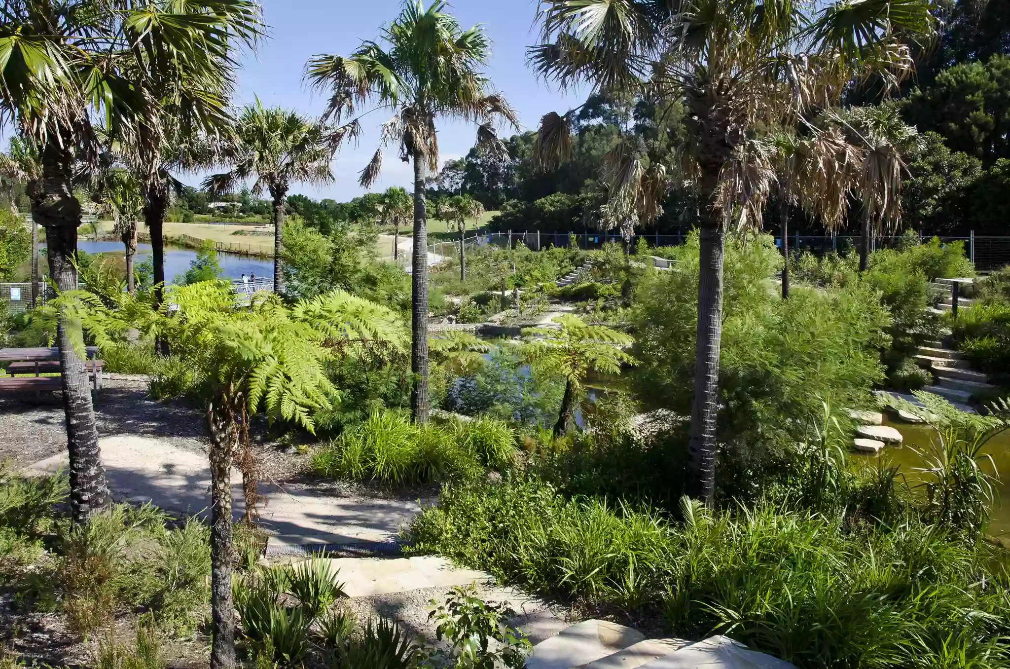 Sydney Park Playground