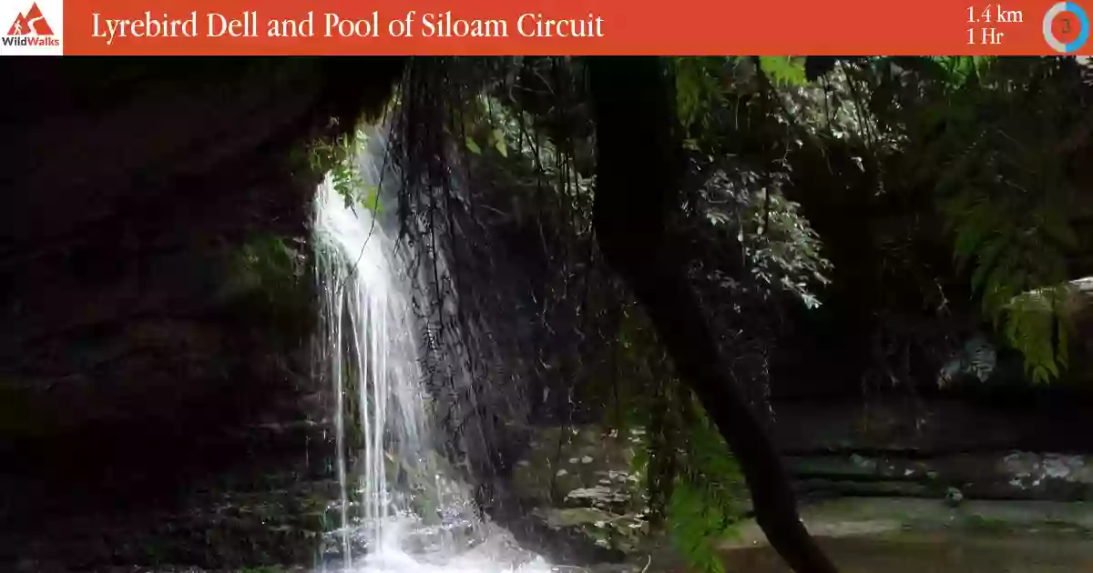 Pool of Siloam