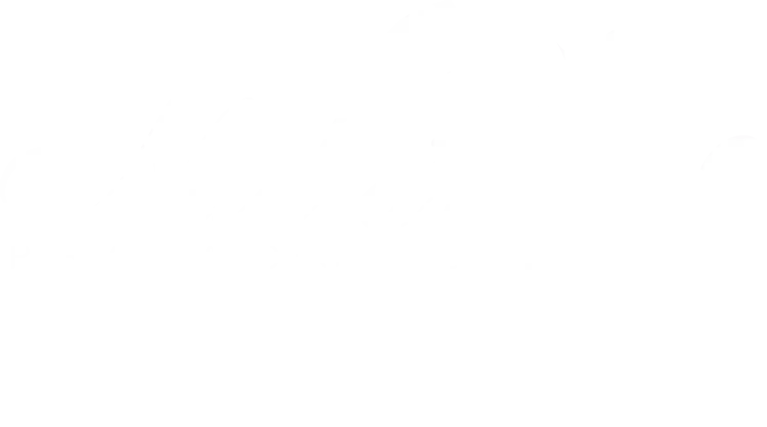 Nadia's Performance Studio