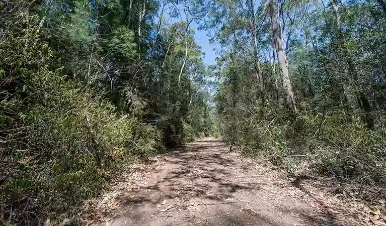 Turners walking track