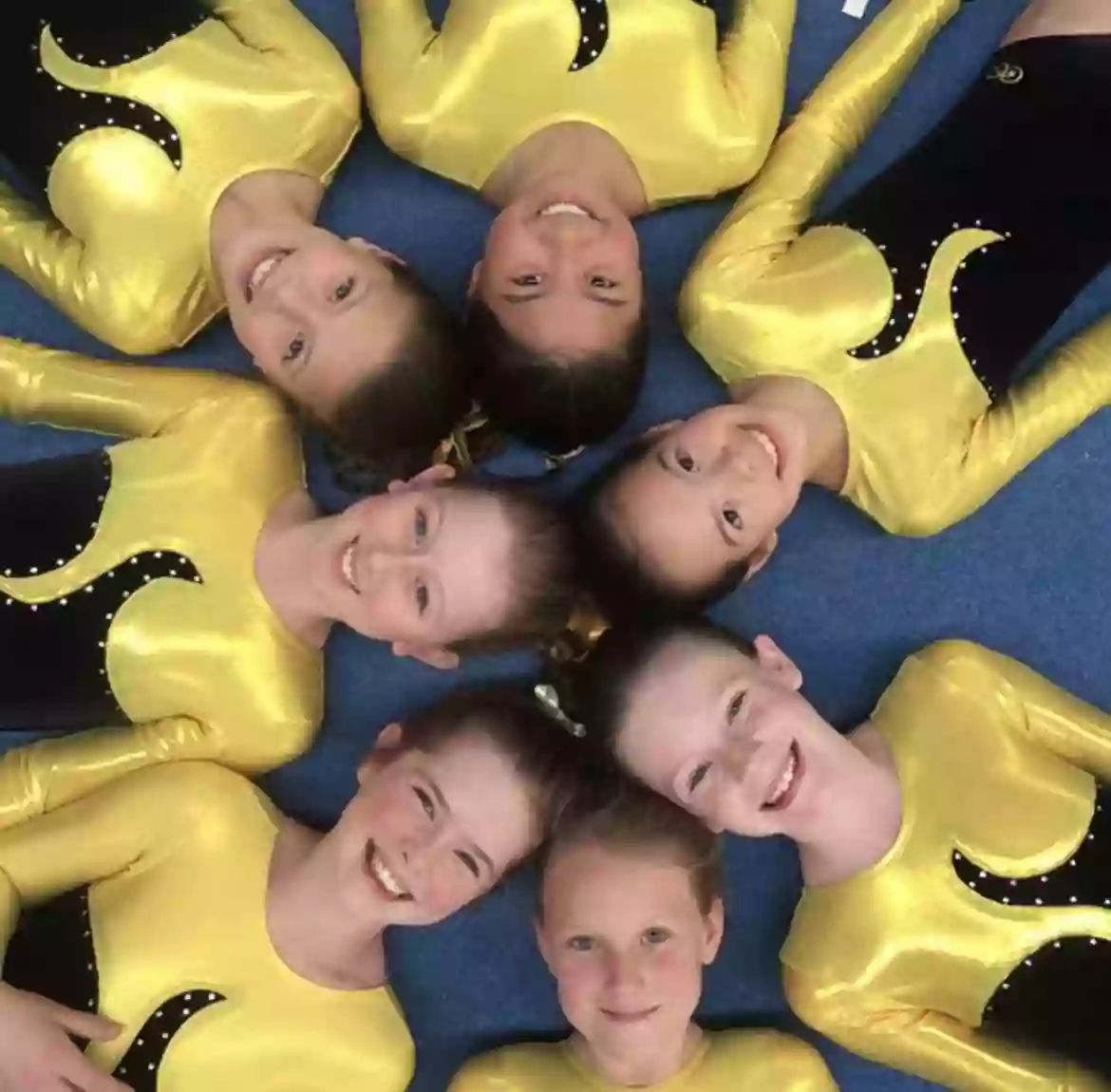 Lane Cove Gymnastics Club