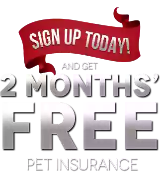 Pet Insurance Australia