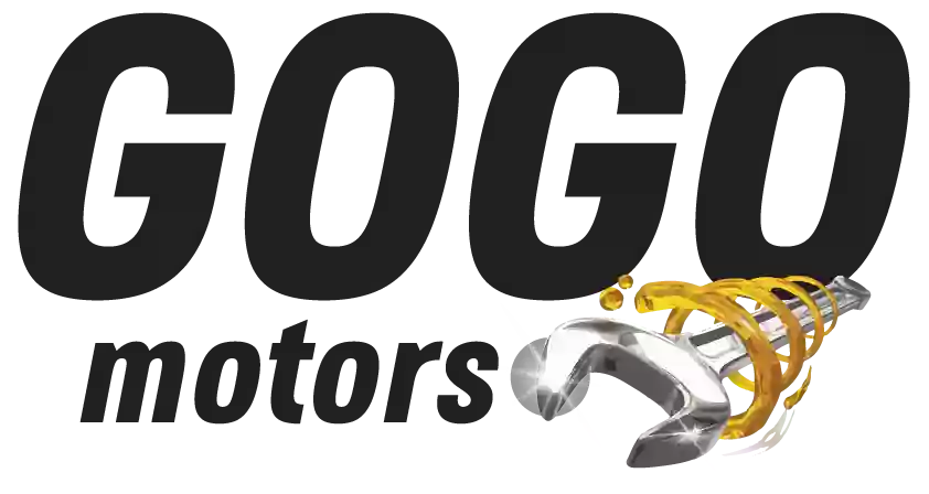 GoGo Motors