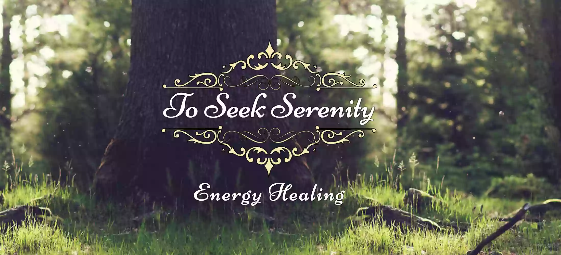 To Seek Serenity - Energy Therapist, Energy Healing, Kinesiologist, Wellness Coach
