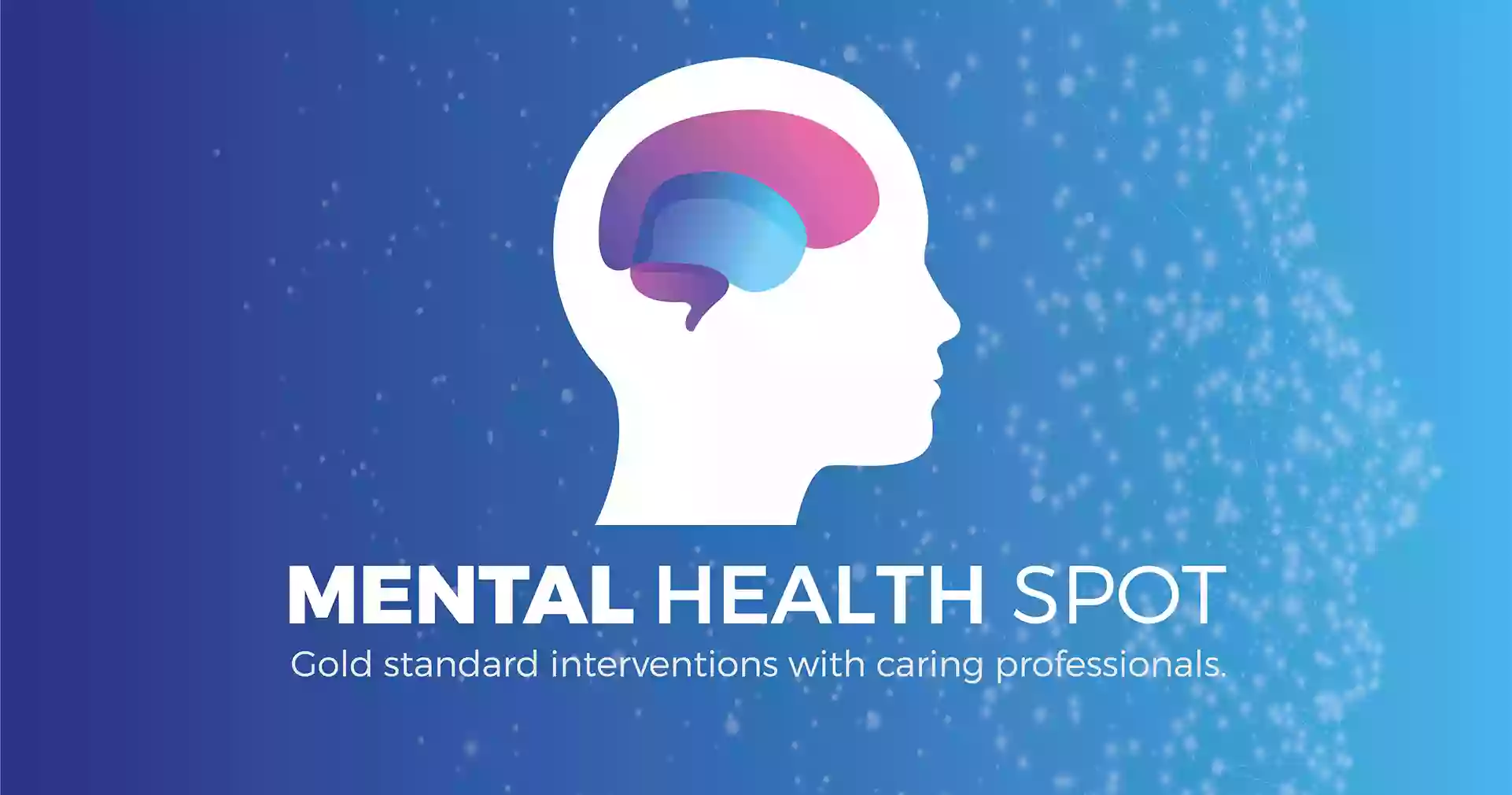 Mental Health Spot Pty Ltd