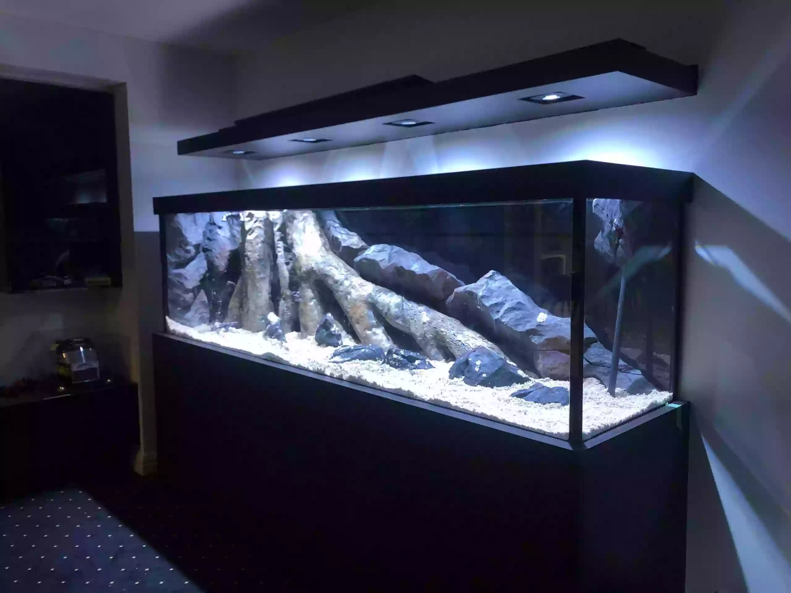 Custom Built Aquariums, Reptile Enclosures & Fish Tanks - AquaProfessional - Melbourne, Australia