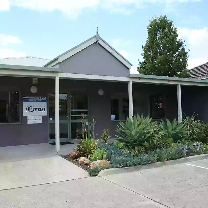 Peninsula Vet Care - Dromana