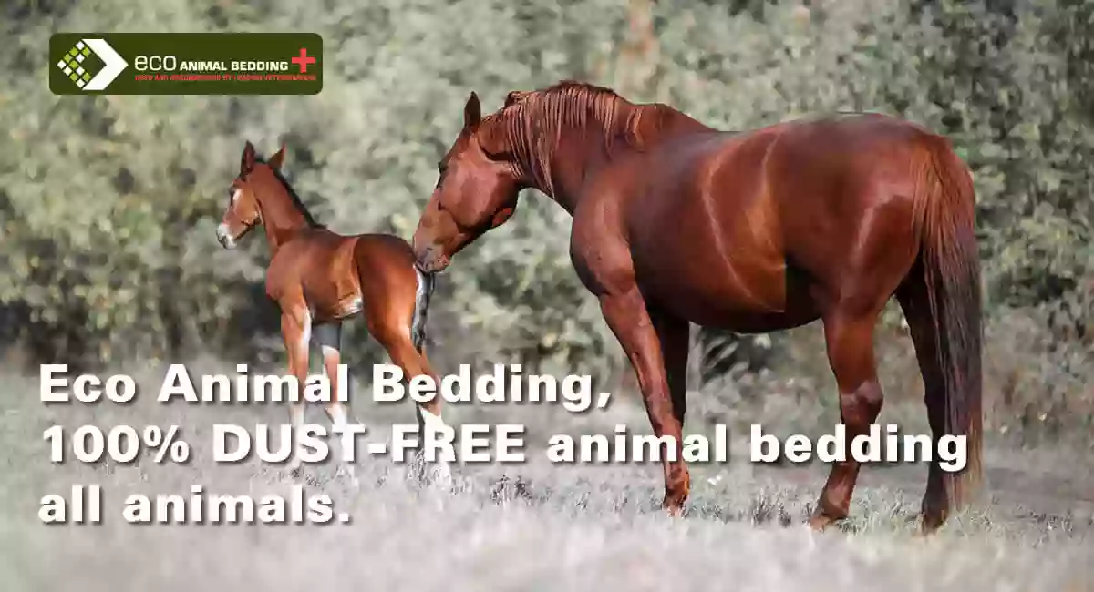 Eco Animal Bedding