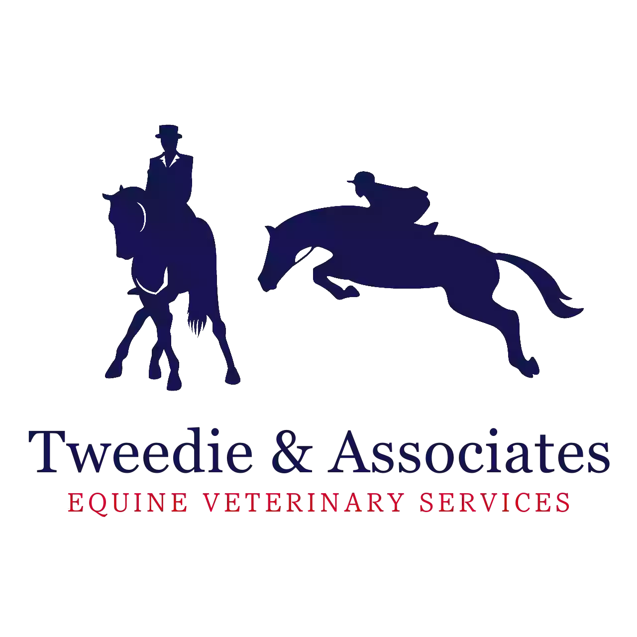 Tweedie & Assoc Equine Veterinary | Horse Vet Mornington Peninsula