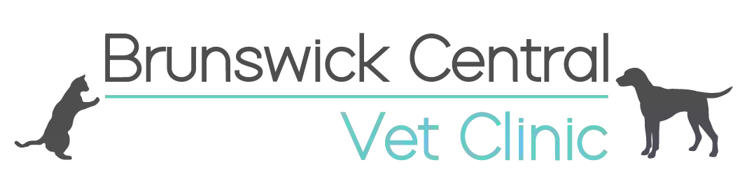 Brunswick Central Vet Clinic