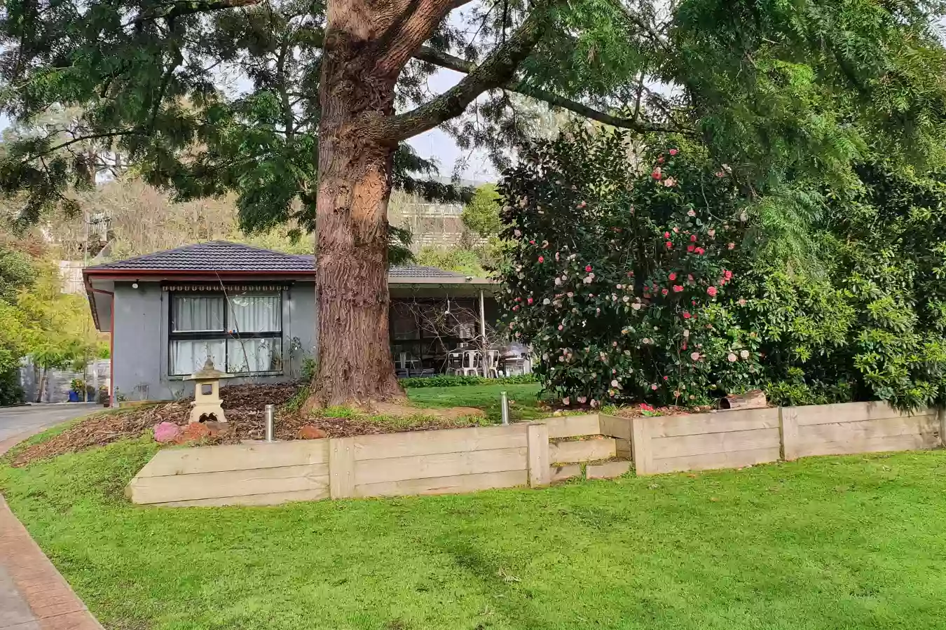 Ginkgo House Healesville