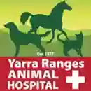 Yarra Glen - Yarra Ranges Animal Hospital