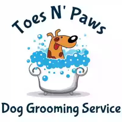 Toes N' Paws Dog Grooming Service