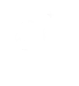 Shisha Basha