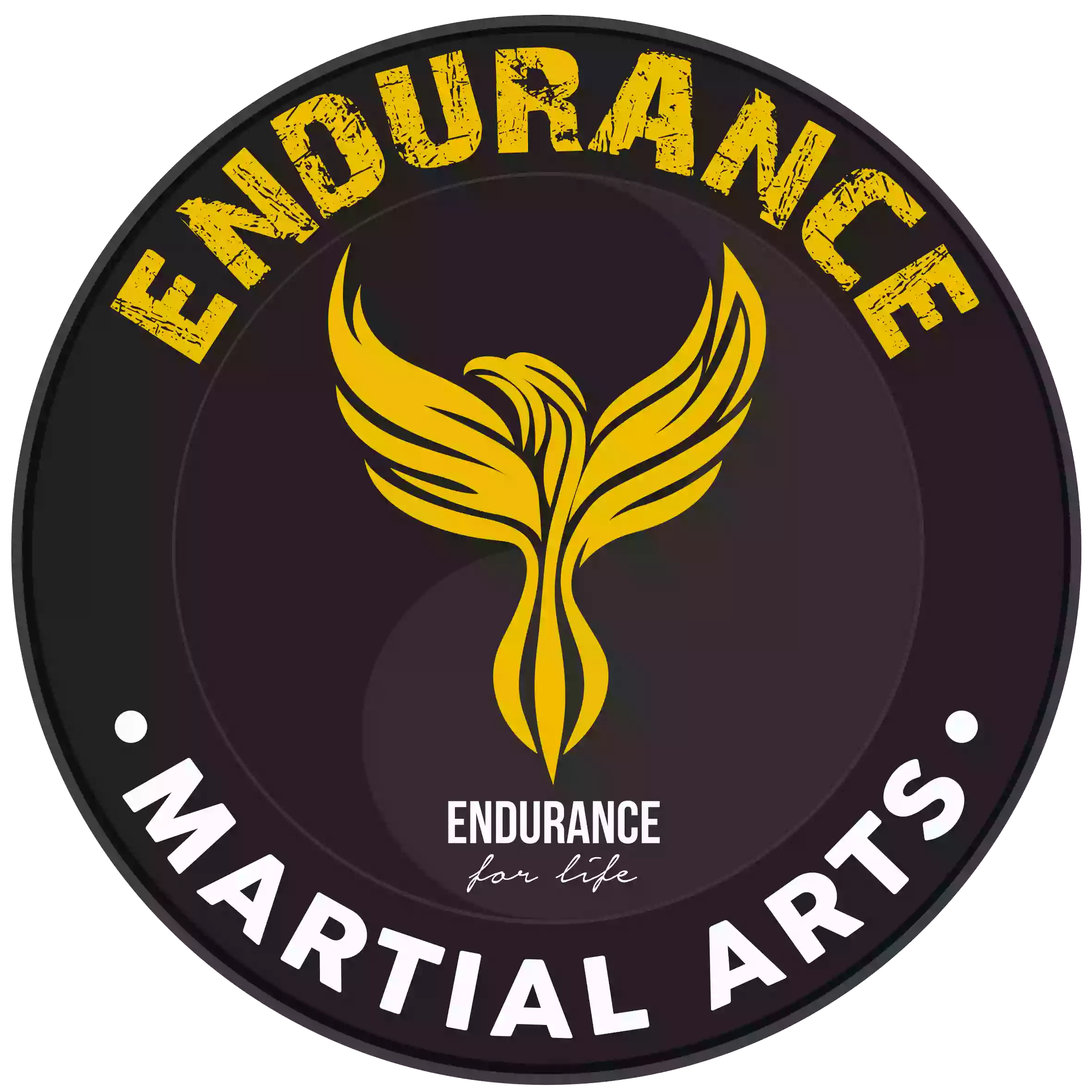 ENDURANCE MARTIAL ARTS