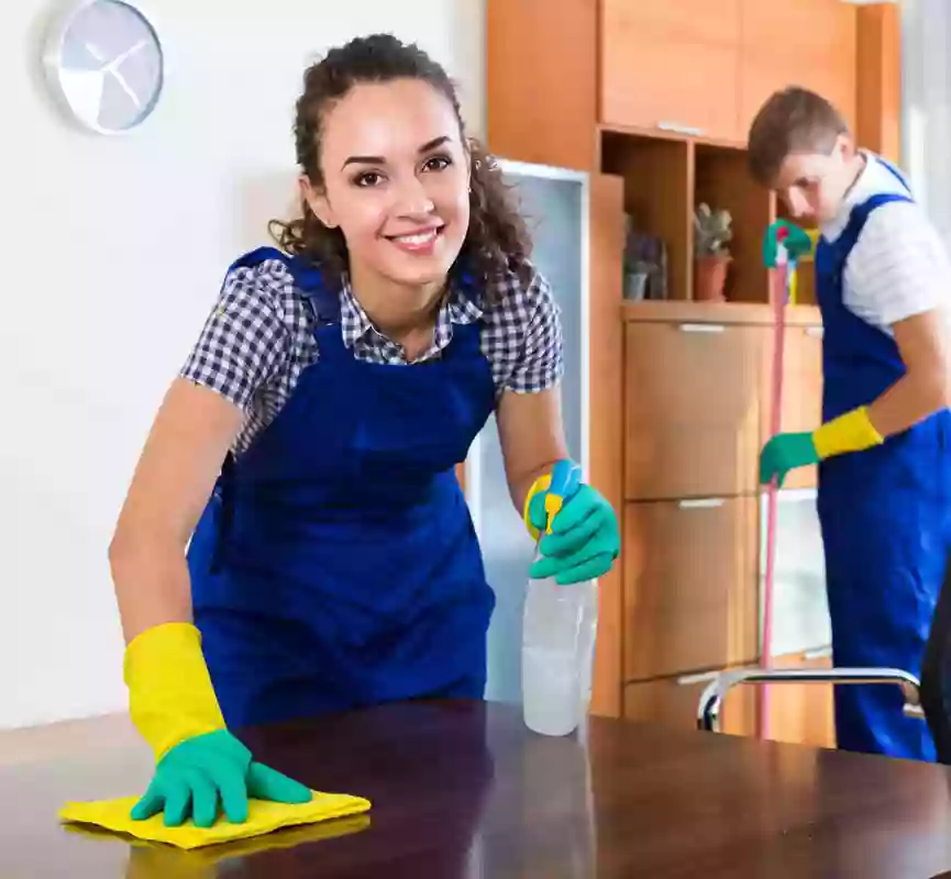 Mister Clean - Cleaning Services Provider