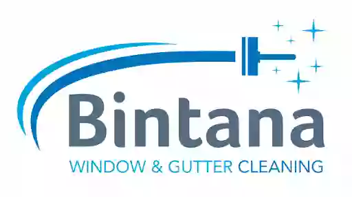 Bintana Cleaning