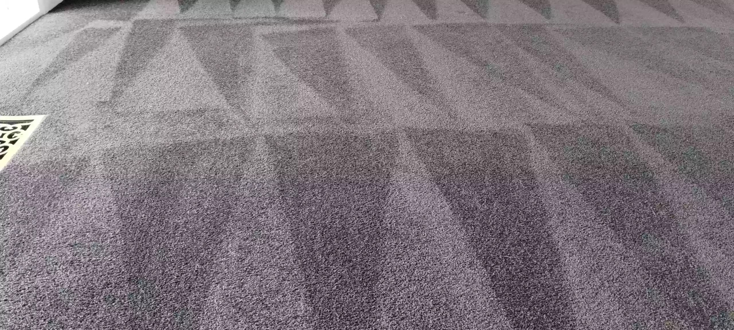 Asap Carpet Cleaning