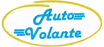 Auto Volante