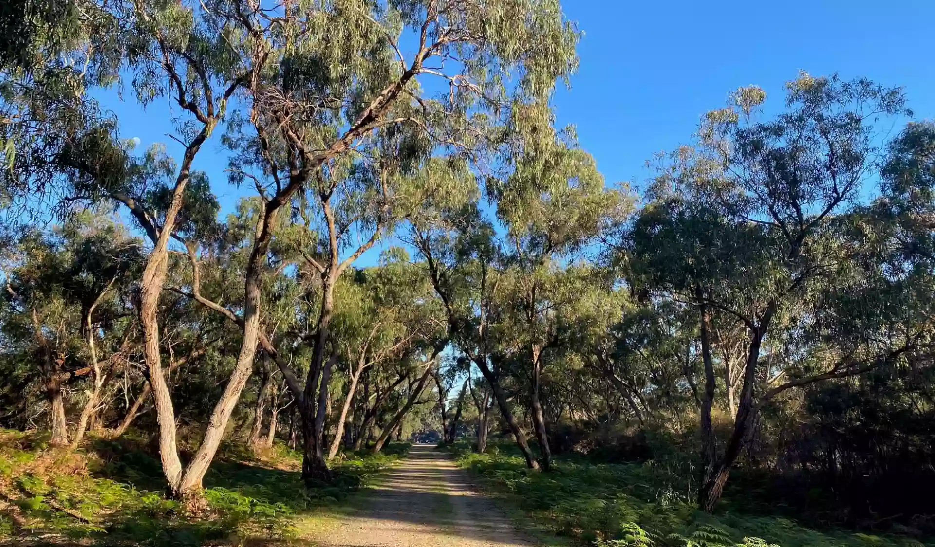 Langwarrin Flora & Fauna Reserve