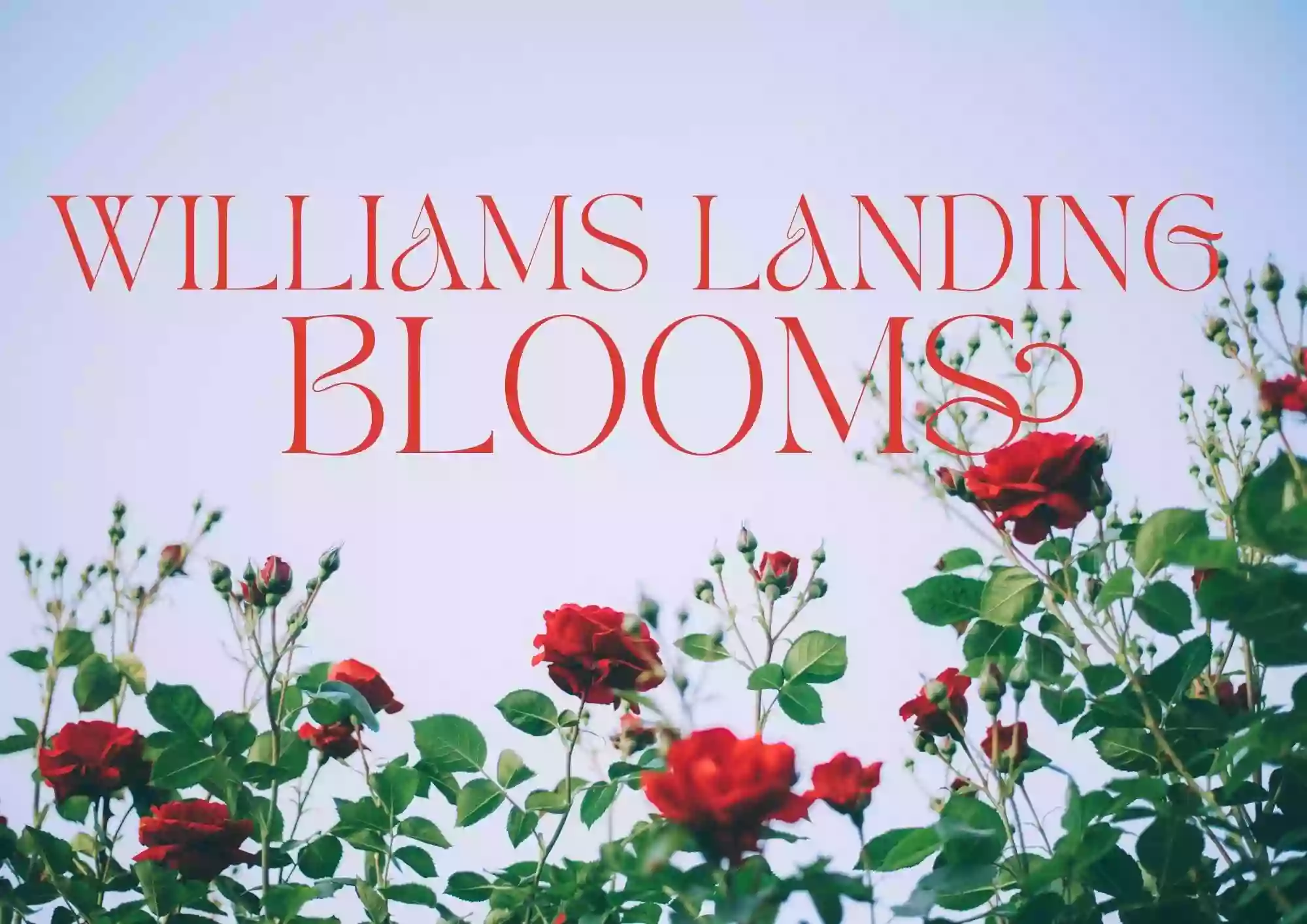 Williams Landing Blooms