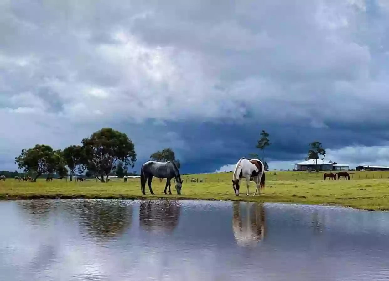 Quarter Mile Ranch