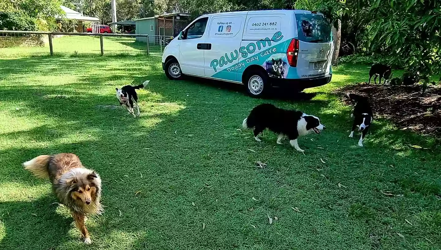 Pawsome Doggy Care