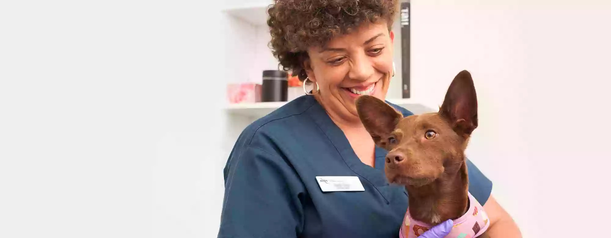 Animal Referral Hospital - Brisbane