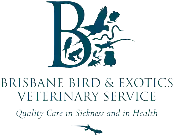 Brisbane Bird & Exotics Veterinary Service