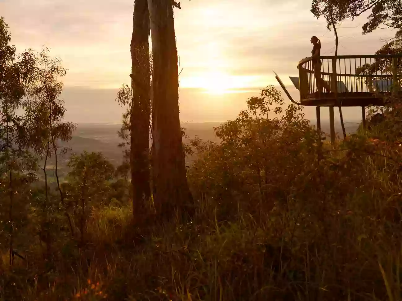 D'Aguilar National Park - Northern