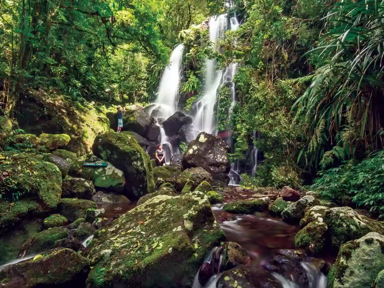 Lamington National Park