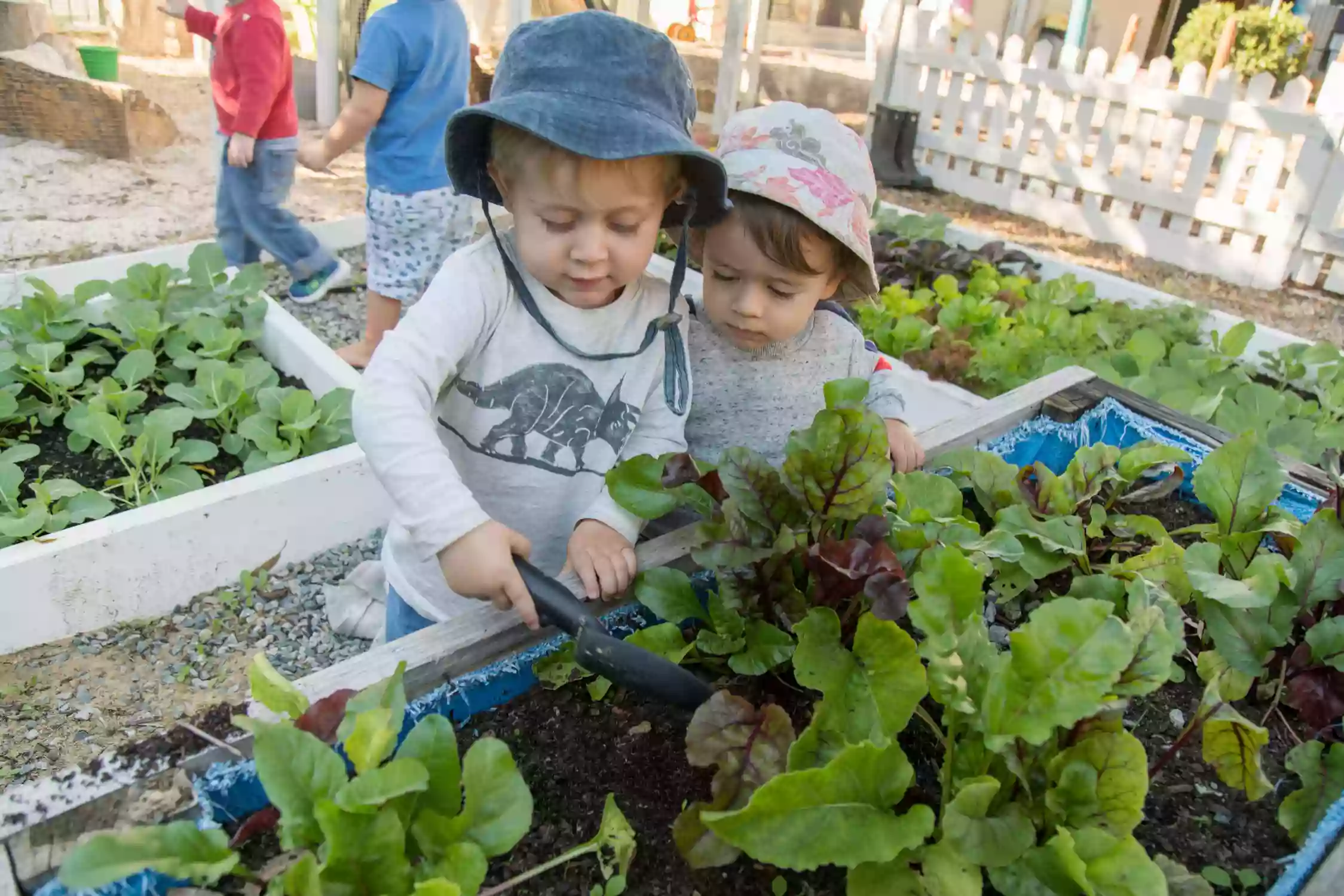 Mulberry Tree Childcare Karrinyup