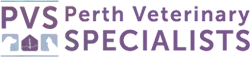 Perth Veterinary Specialists