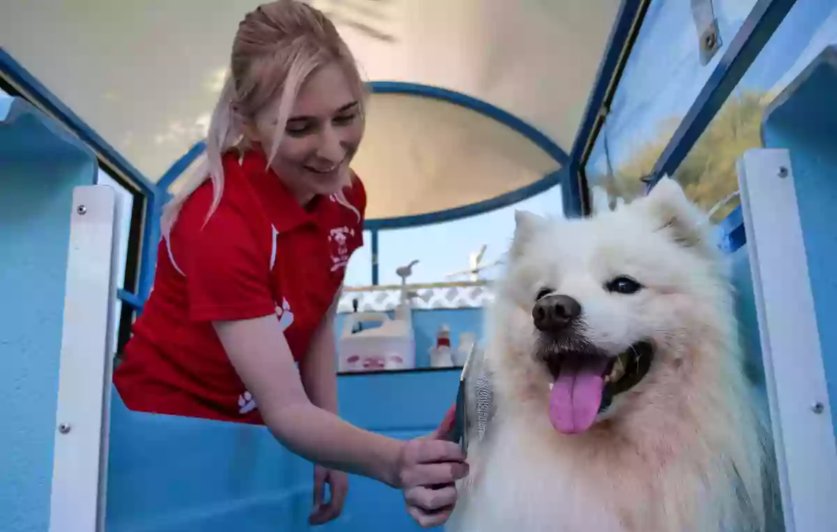 Aussie Pooch Mobile Dog Wash Wanneroo