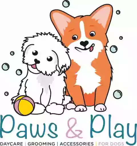 Paws & Play Perth