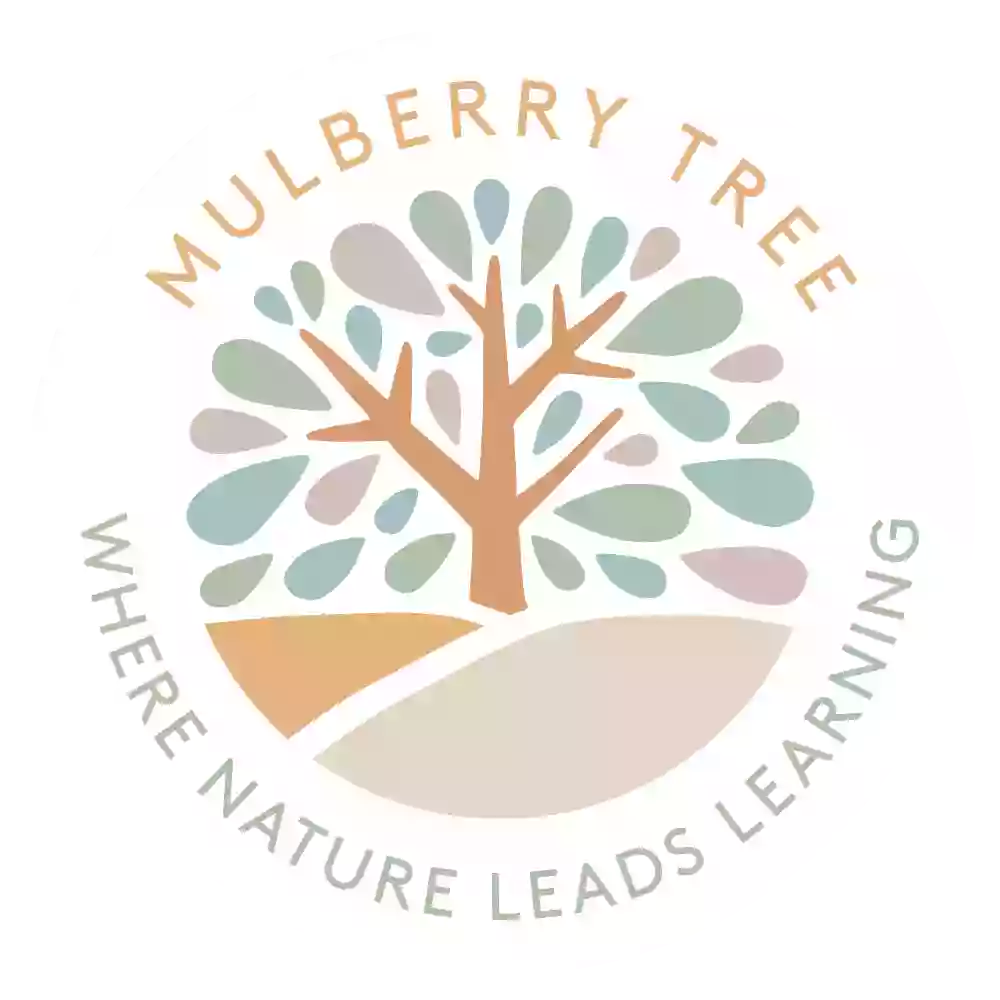 Mulberry Tree Child Care & Kindy