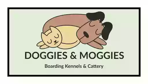 Doggies & Moggies Boarding Kennels & Cattery