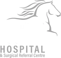 Belvoir Equine Hospital