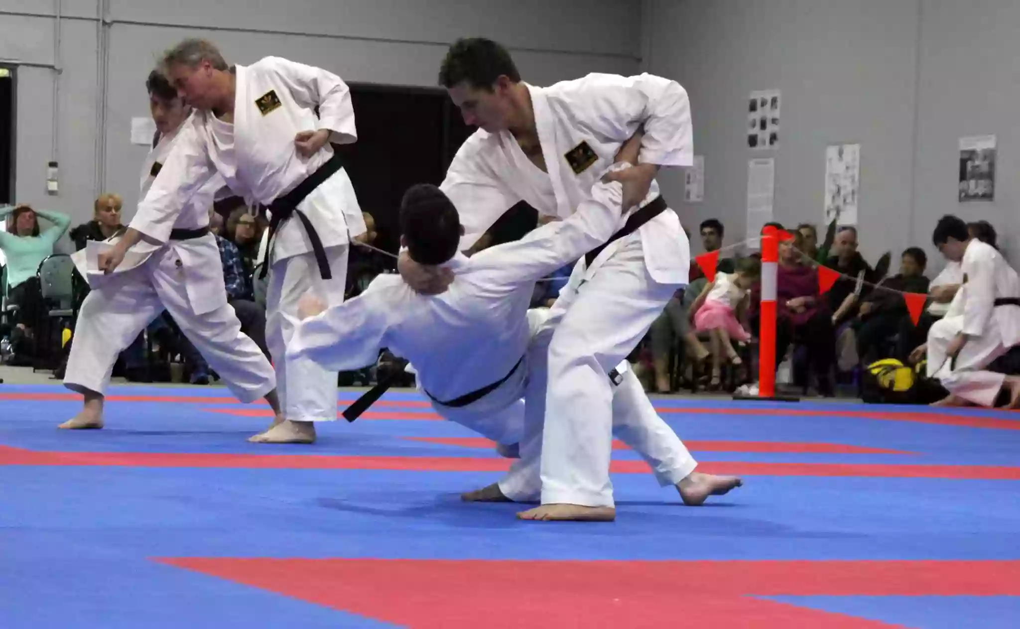 Kofukan Karate for Life Byford