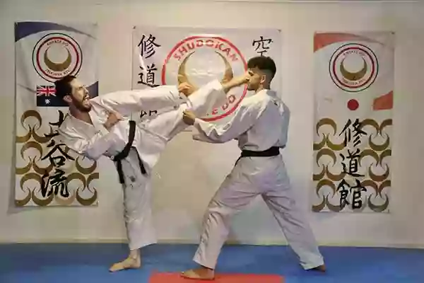 Maya Karate Academy