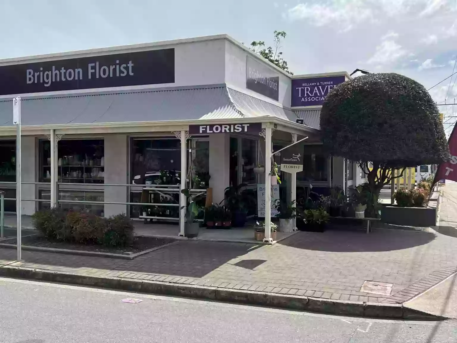 Brighton Florist