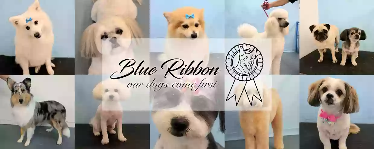 Blue Ribbon Dog Grooming