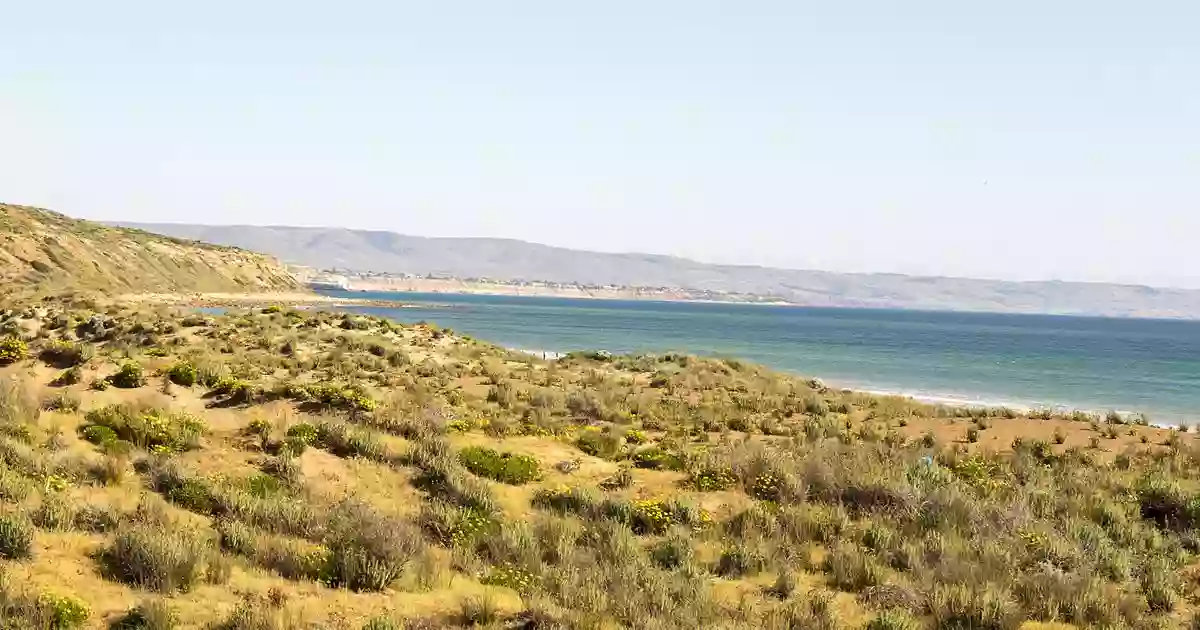 Moana Sands Conservation Park