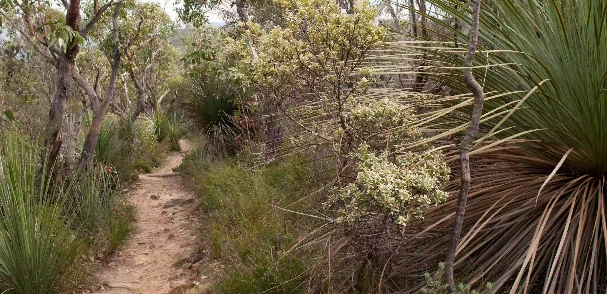 Mount Magnificent Conservation Park