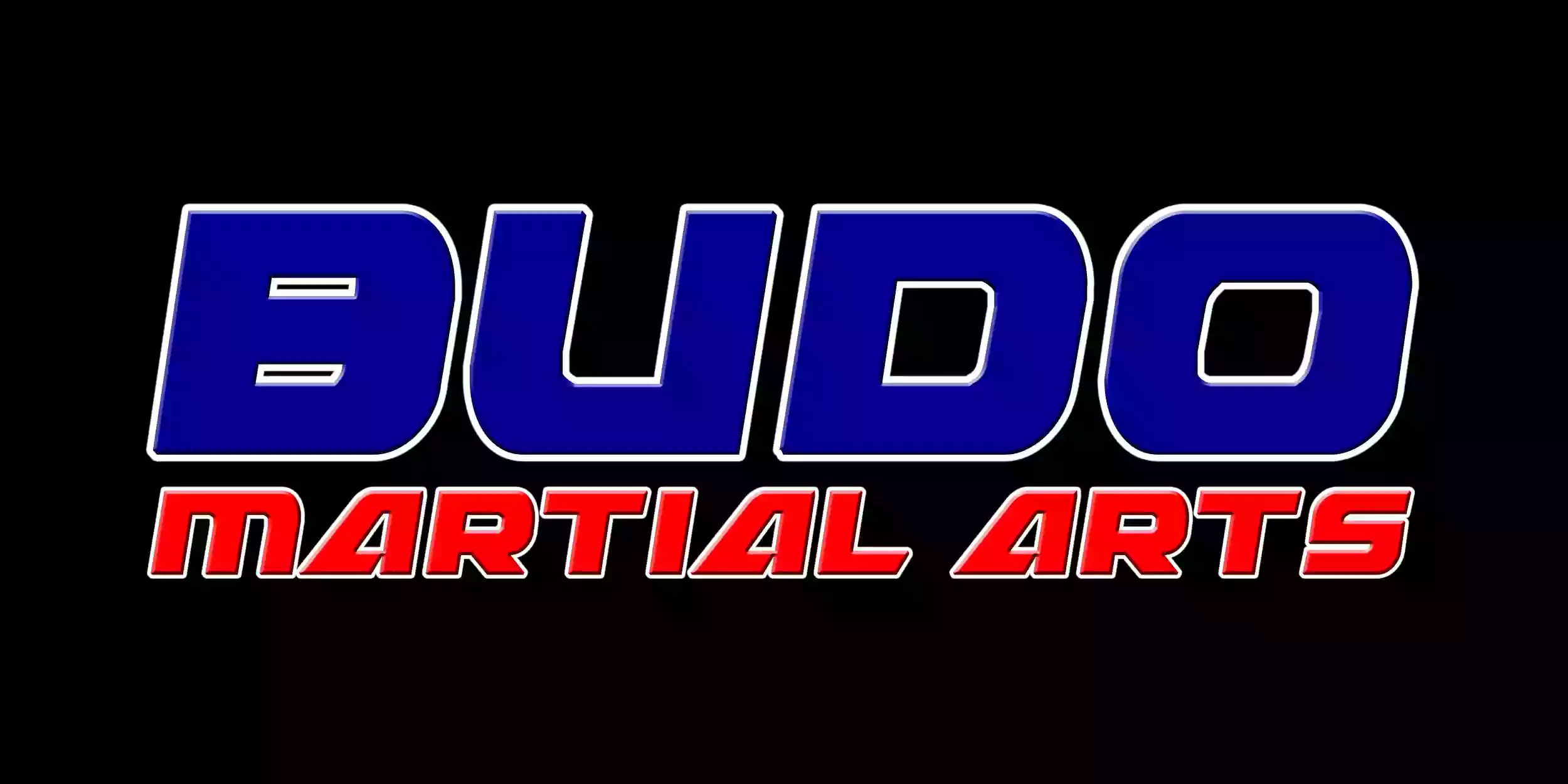 Budo Martial Arts