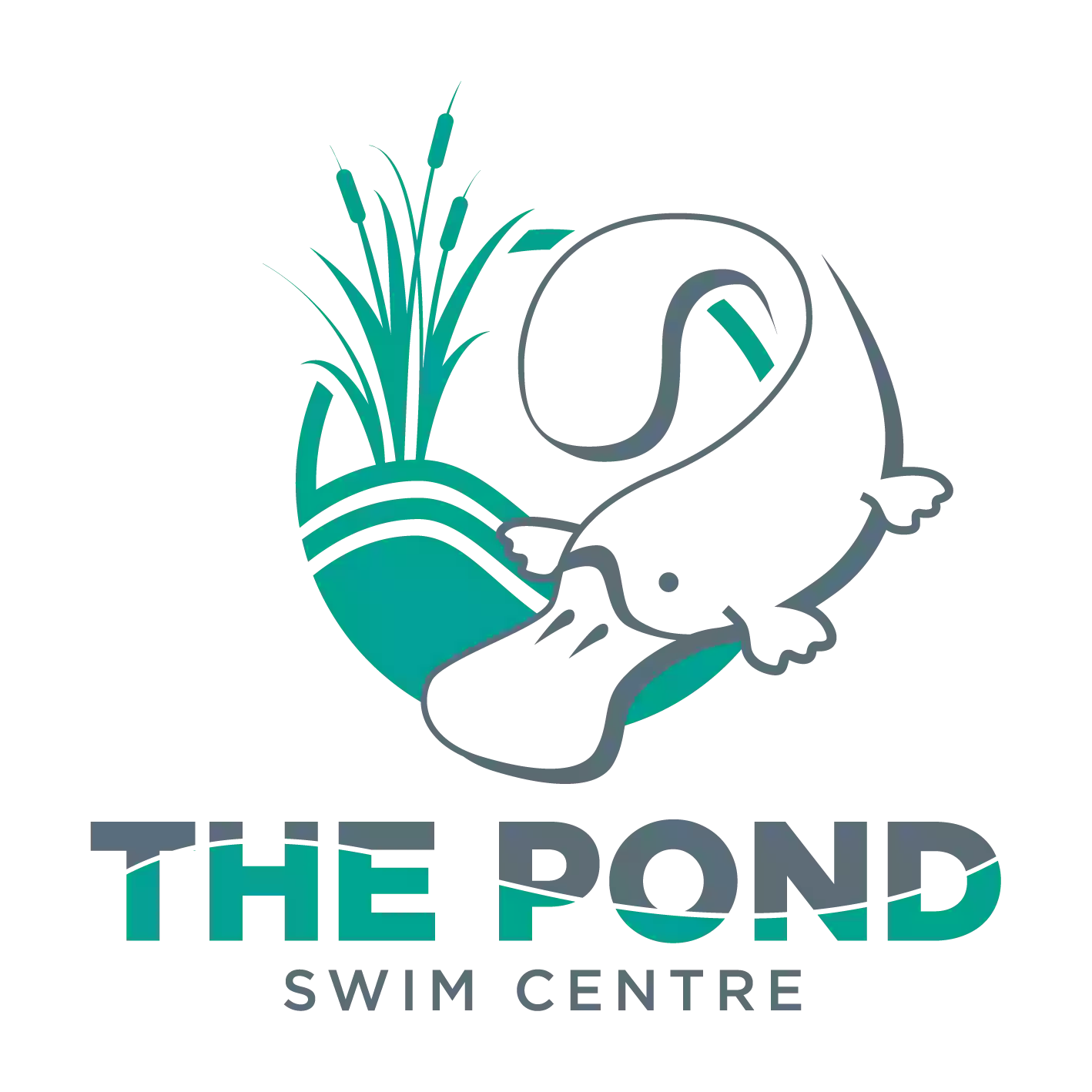The Pond Swim Centre