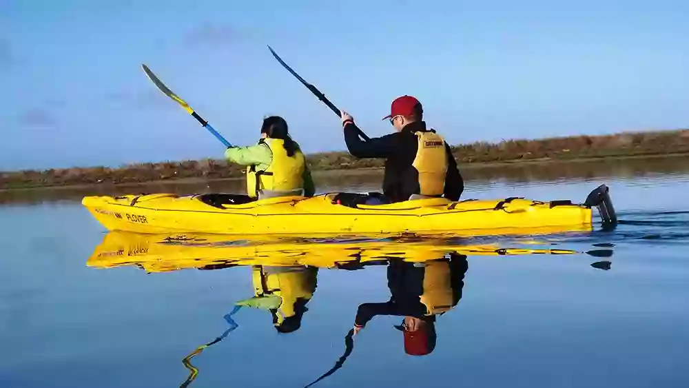 Canoe the Coorong- Guided kayaking tours & hire