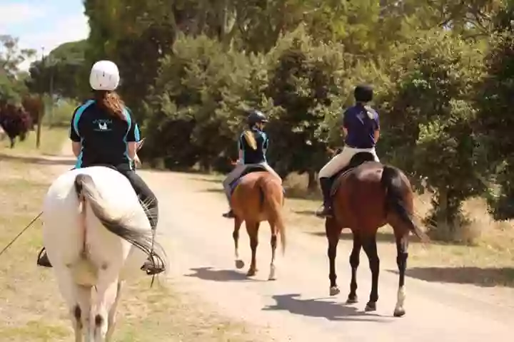 Nyroca Riding Centre